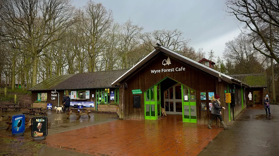 Wyre Forest - Forestry England