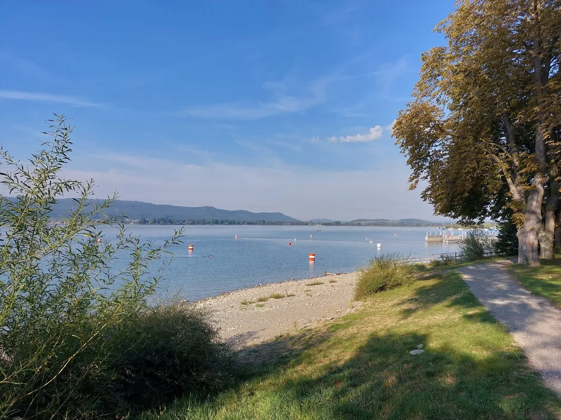 Mettnau