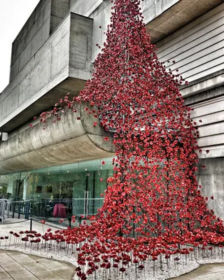 Ulster Museum