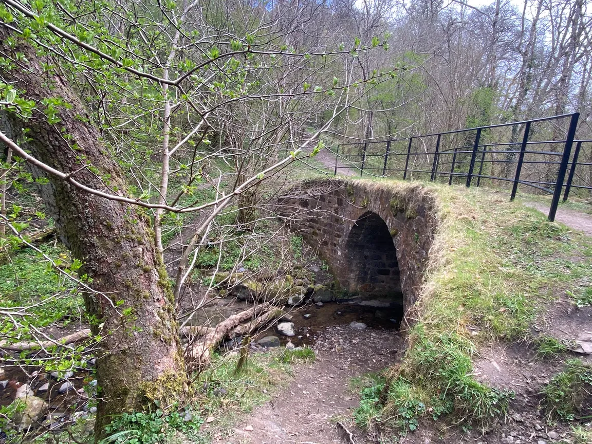 Clyde Valley Woodlands National Nature Reserve (Cartland Crags)