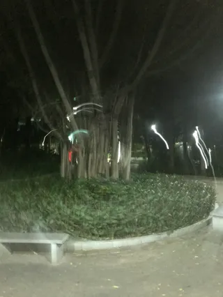 Shixia North 7th Street Park