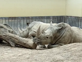 Allwetterzoo Münster