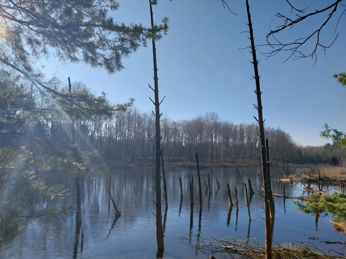 Wieża widokowa, Ścieżka geoturystyczna "Dawna Kopalnia Babina"