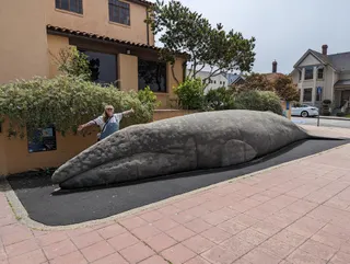 Pacific Grove Museum of Natural History