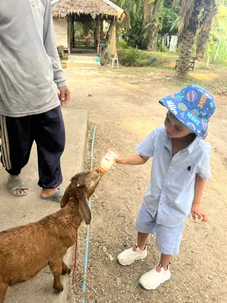 Aonang goat farm