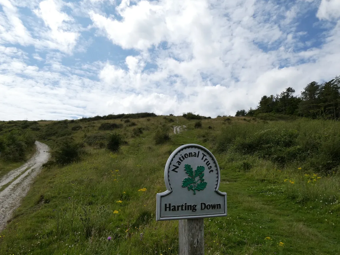 National Trust - Harting Down