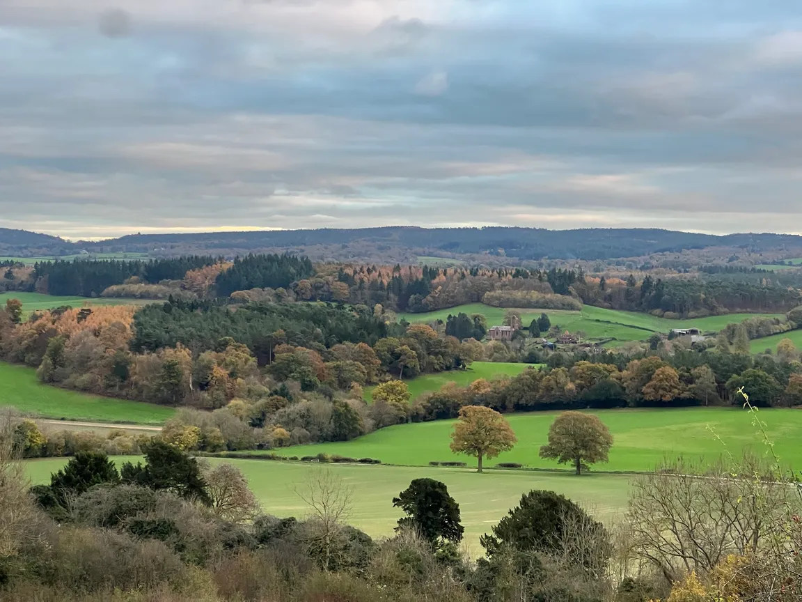 Newlands Corner