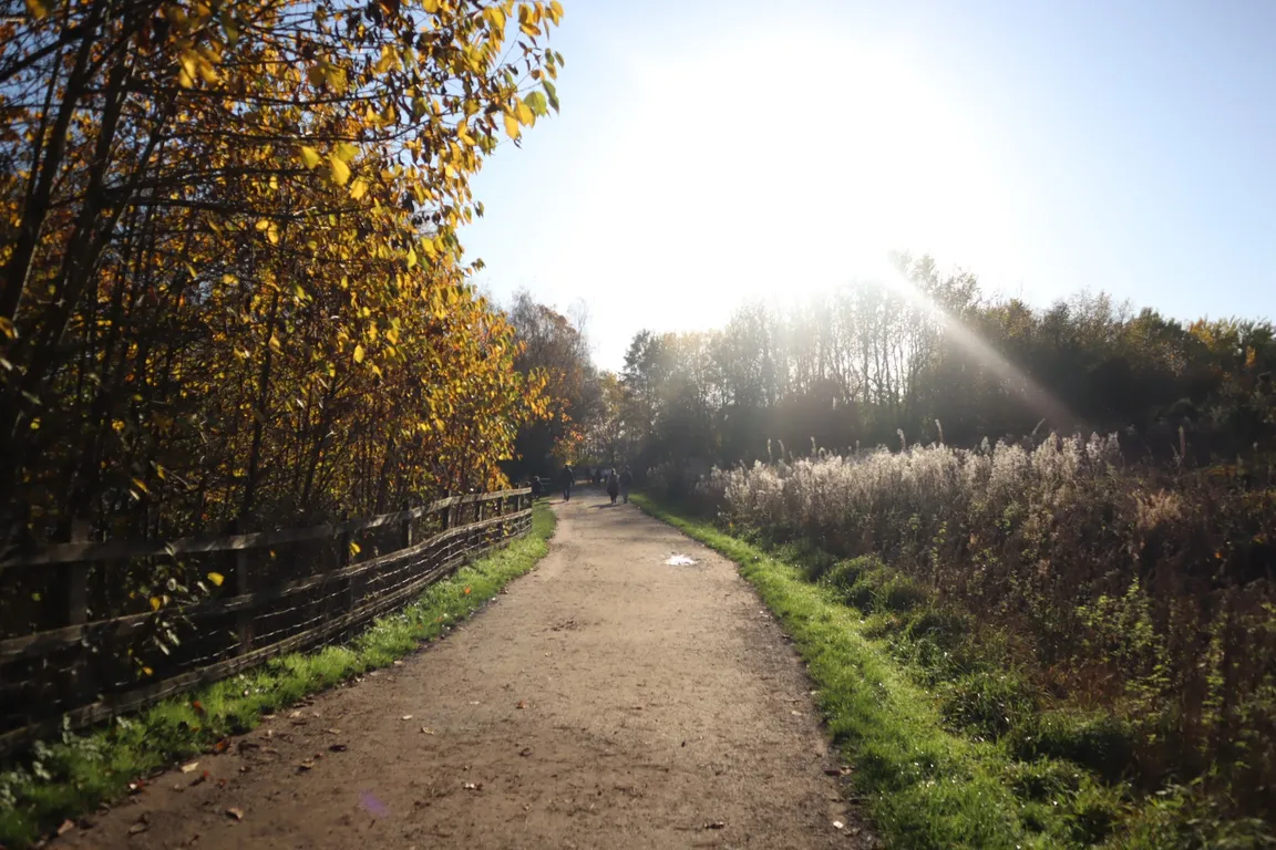 Chorlton Water Park