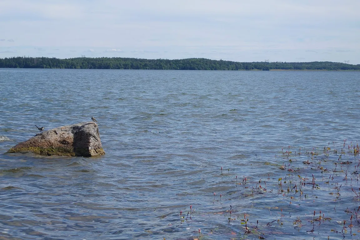 Björkö-Birka (Island in Lake Mälaren with remnants of the former trading town Birka)