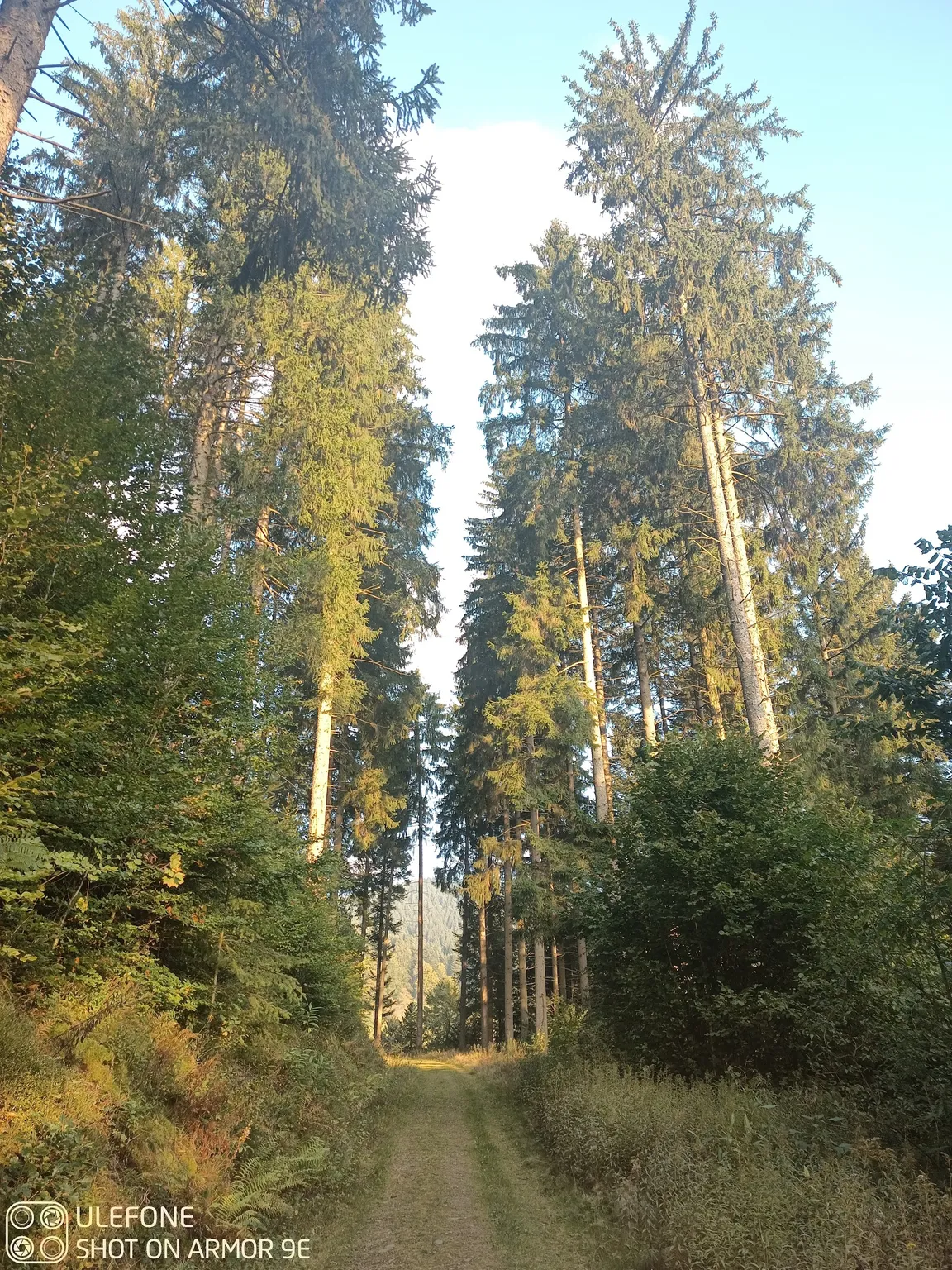 Spitzfelsen