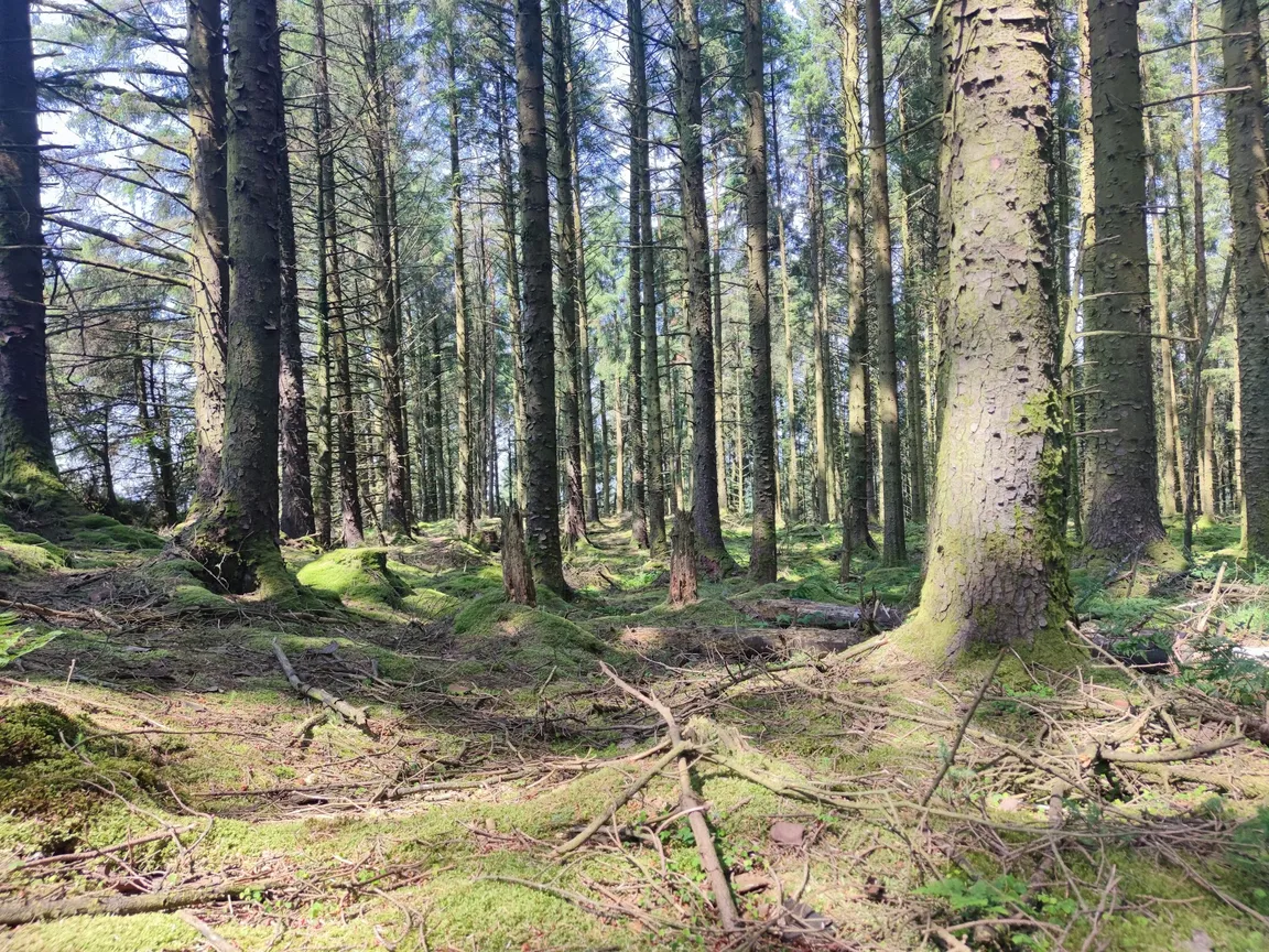 Gortin Glen Forest Park