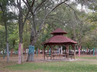 Puskin Park