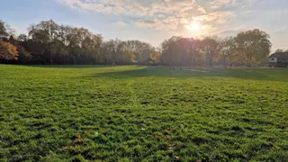 Paddington Recreation Ground
