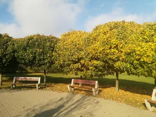 Wybieg dla psów