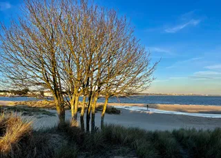Shell Bay