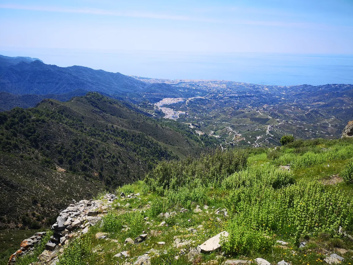 El Fuerte