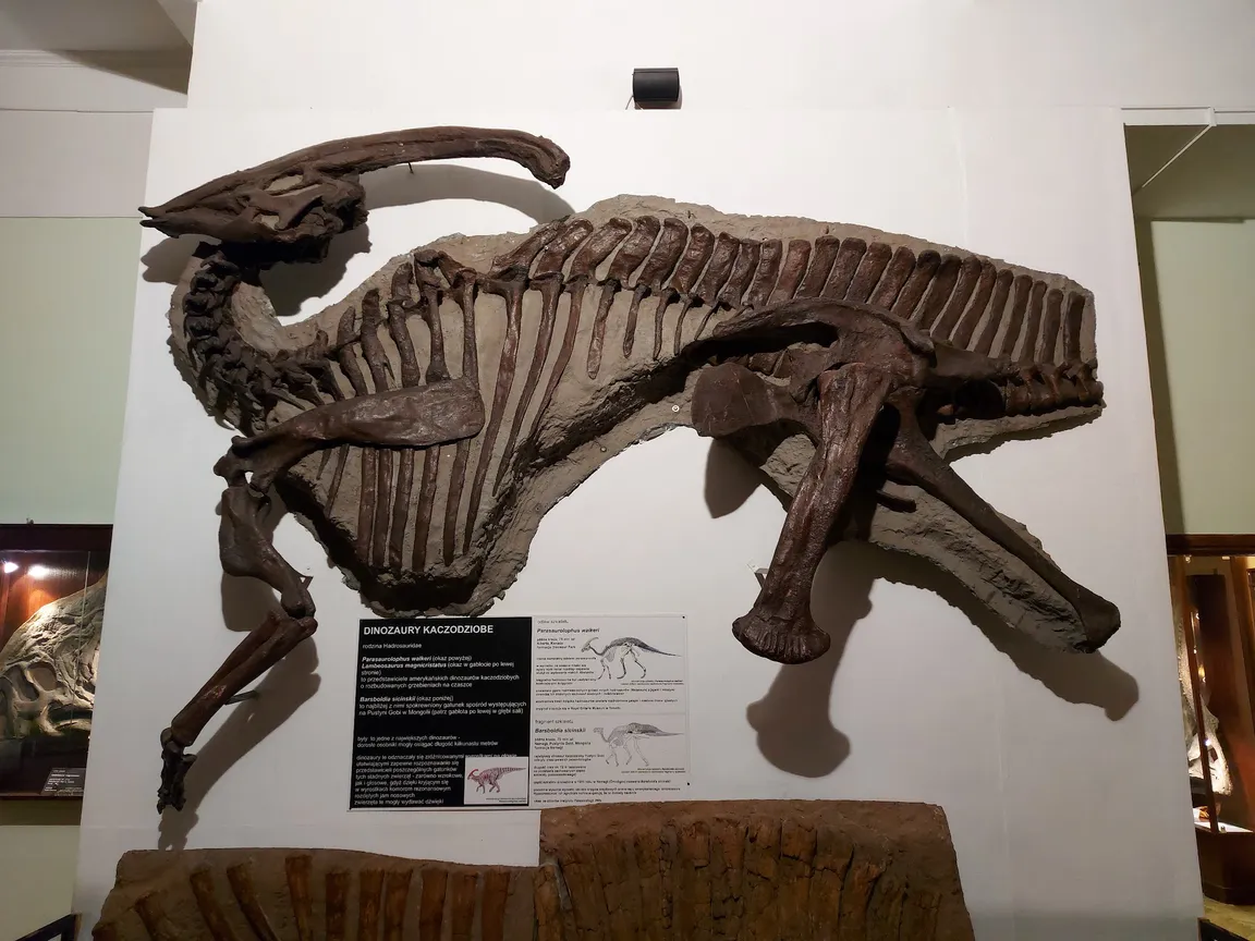 Muzeum Ewolucji w PKiN