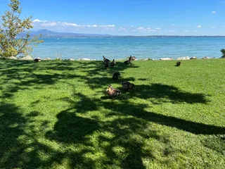 Lungolago Sirmione