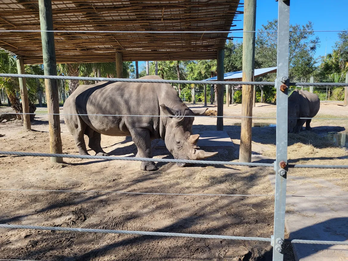 ZooTampa at Lowry Park
