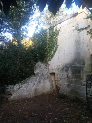 Foresta Urbana di Lecce