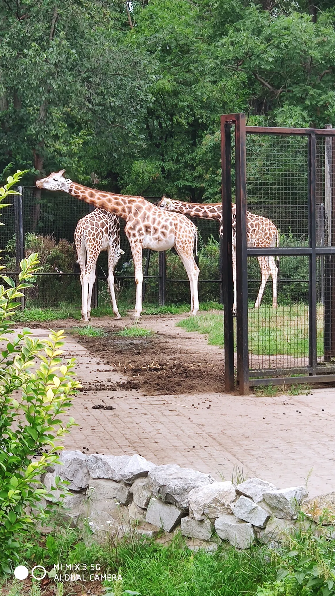 Miejski Ogród Zoologiczny im. Antoniny i Jana Żabińskich w Warszawie