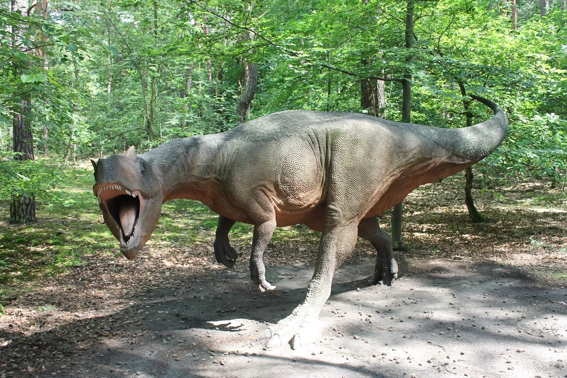 JuraPark Solec Kujawski