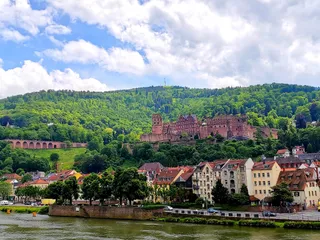 Brückenaffe