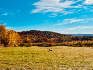 Hilltop Orchards Home of Furnace Brook Winery and Jmash Cidery and The Taproom at Hilltop Orchards