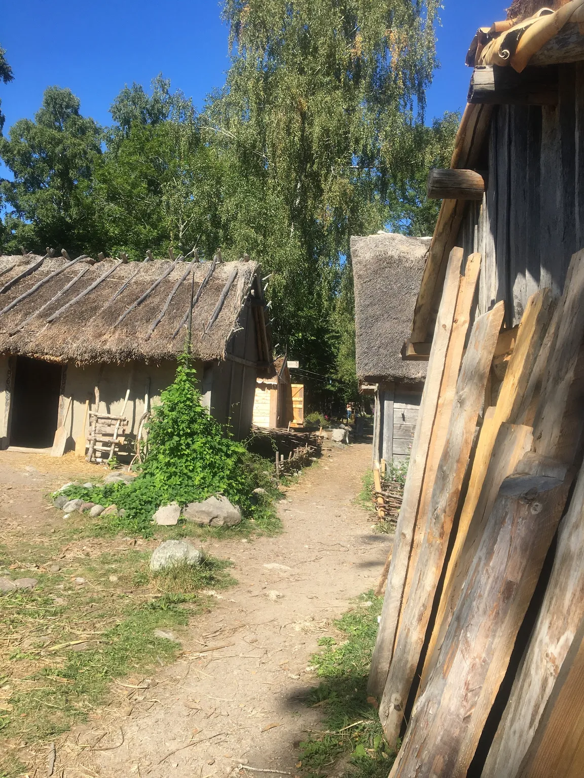 Reconstruction of Viking Village