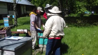 Dwór Grabanów