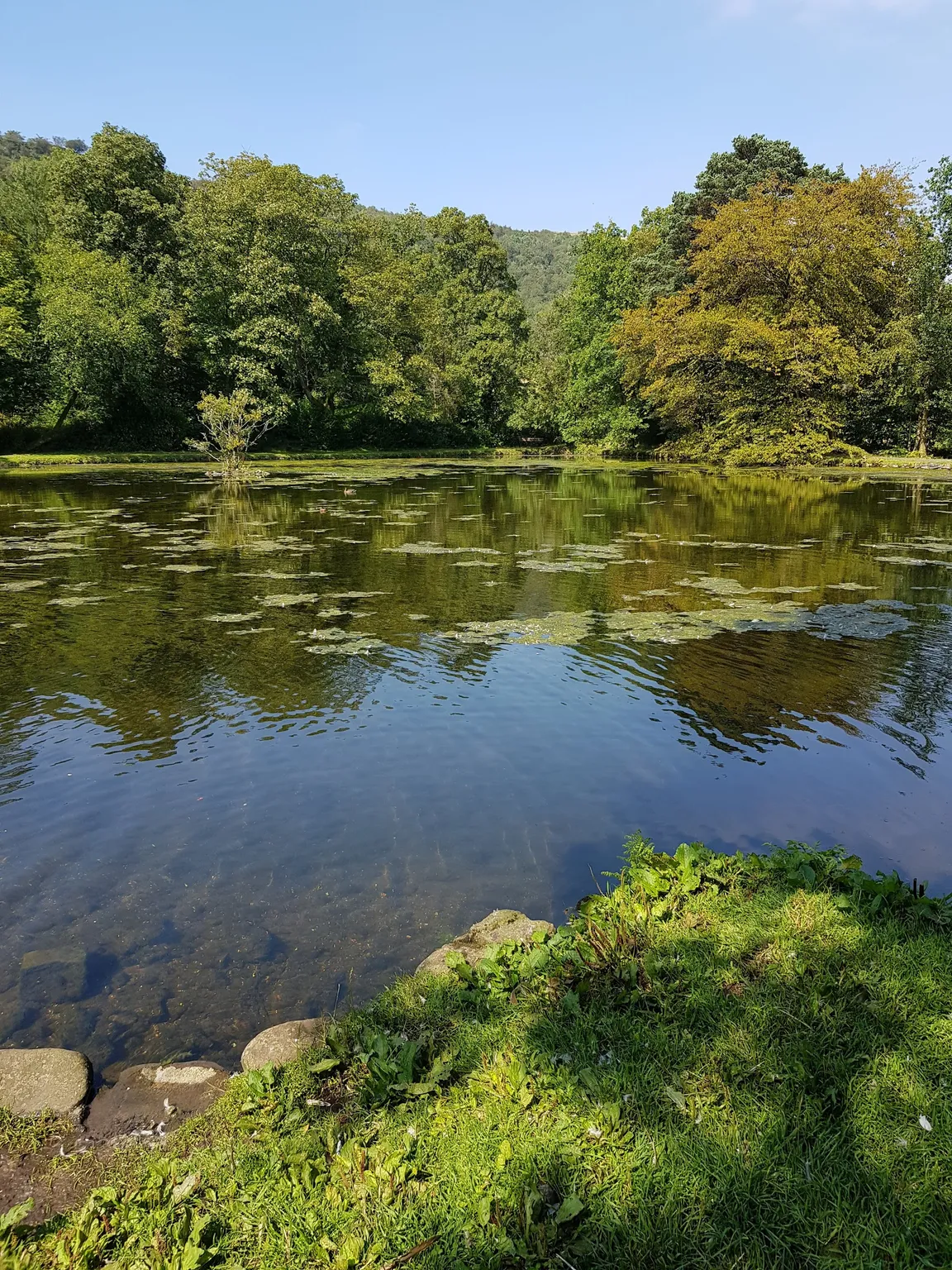 Craig-y-Nos Country Park