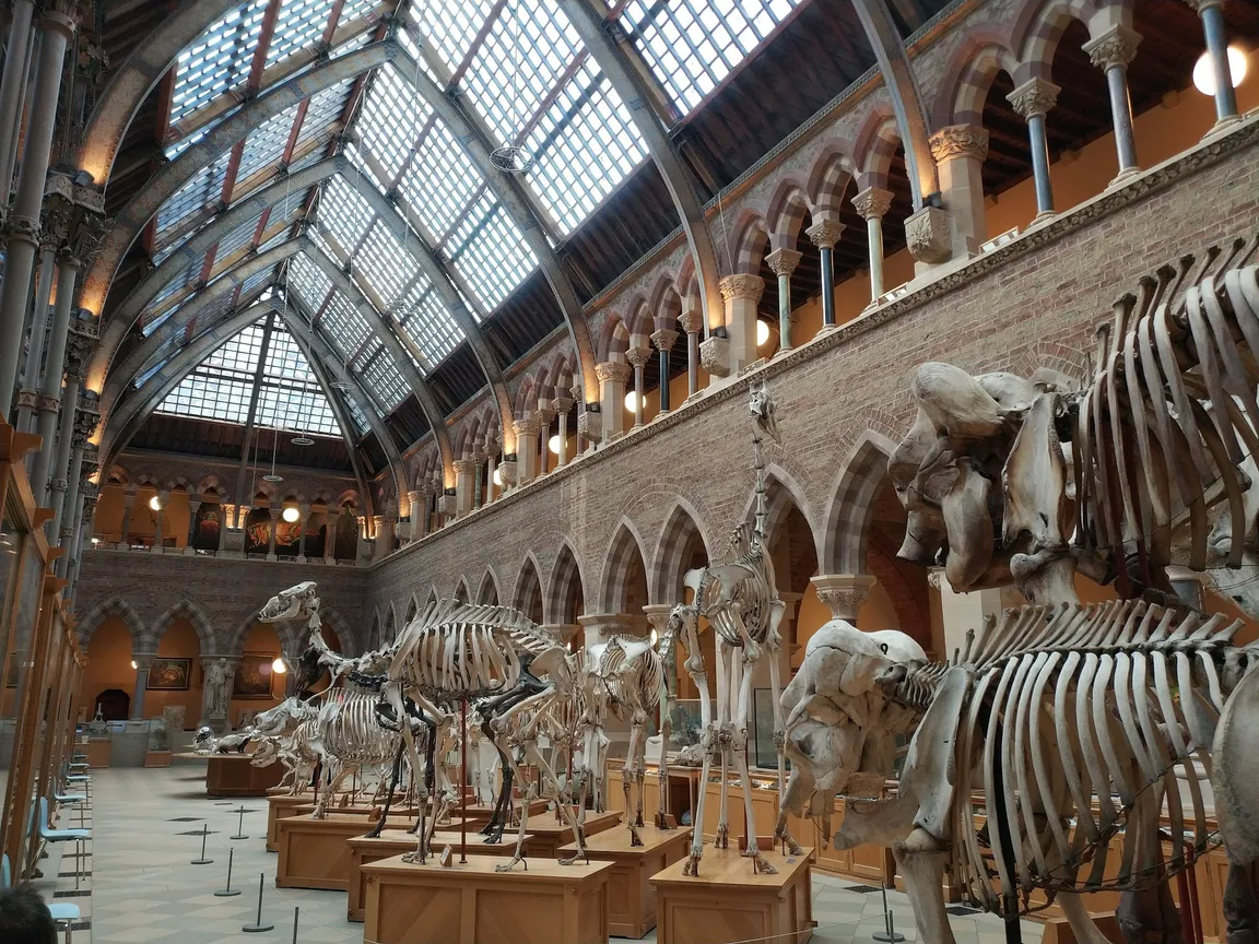 Oxford University Museum of Natural History