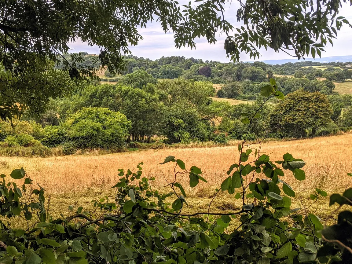 Kites Hill Nature Trail