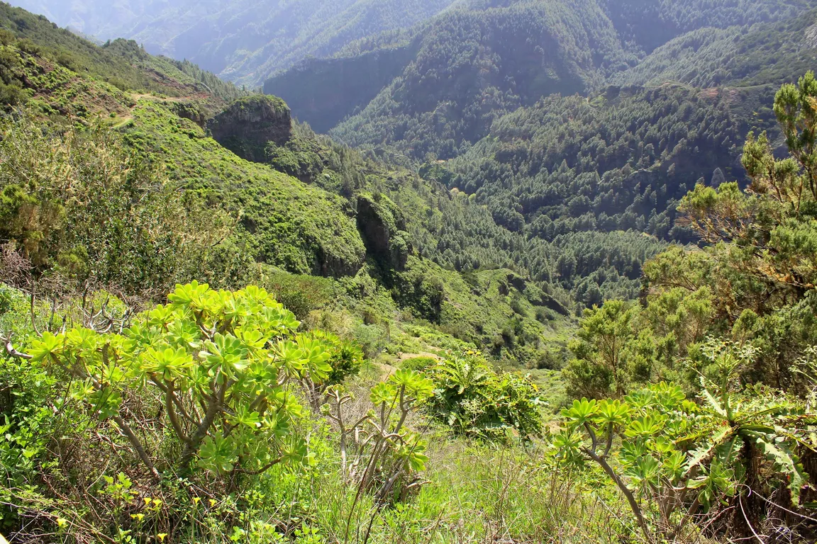 Mirador de Tajaqué