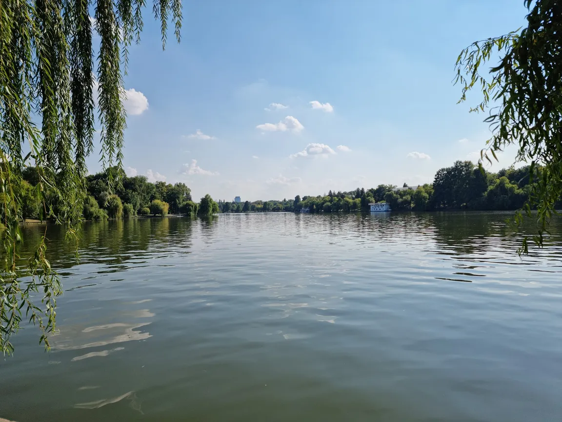 Park Króla Michała I