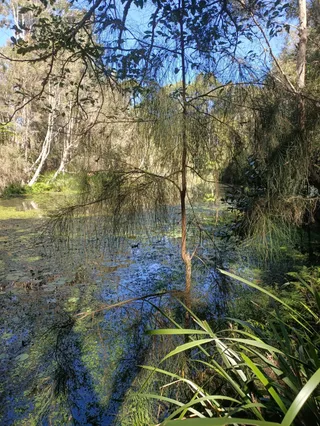 Point Halloran Conservation Area