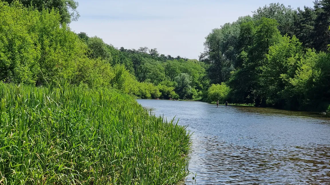Zacisze Pomiechówek