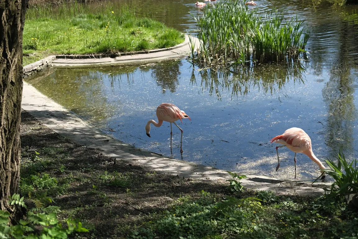 Miejski Ogród Zoologiczny im. Antoniny i Jana Żabińskich w Warszawie