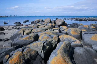 Point Gellibrand Coastal Heritage Park (Parks Victoria)