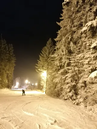 Stacja Narciarska TYLICZ.ski