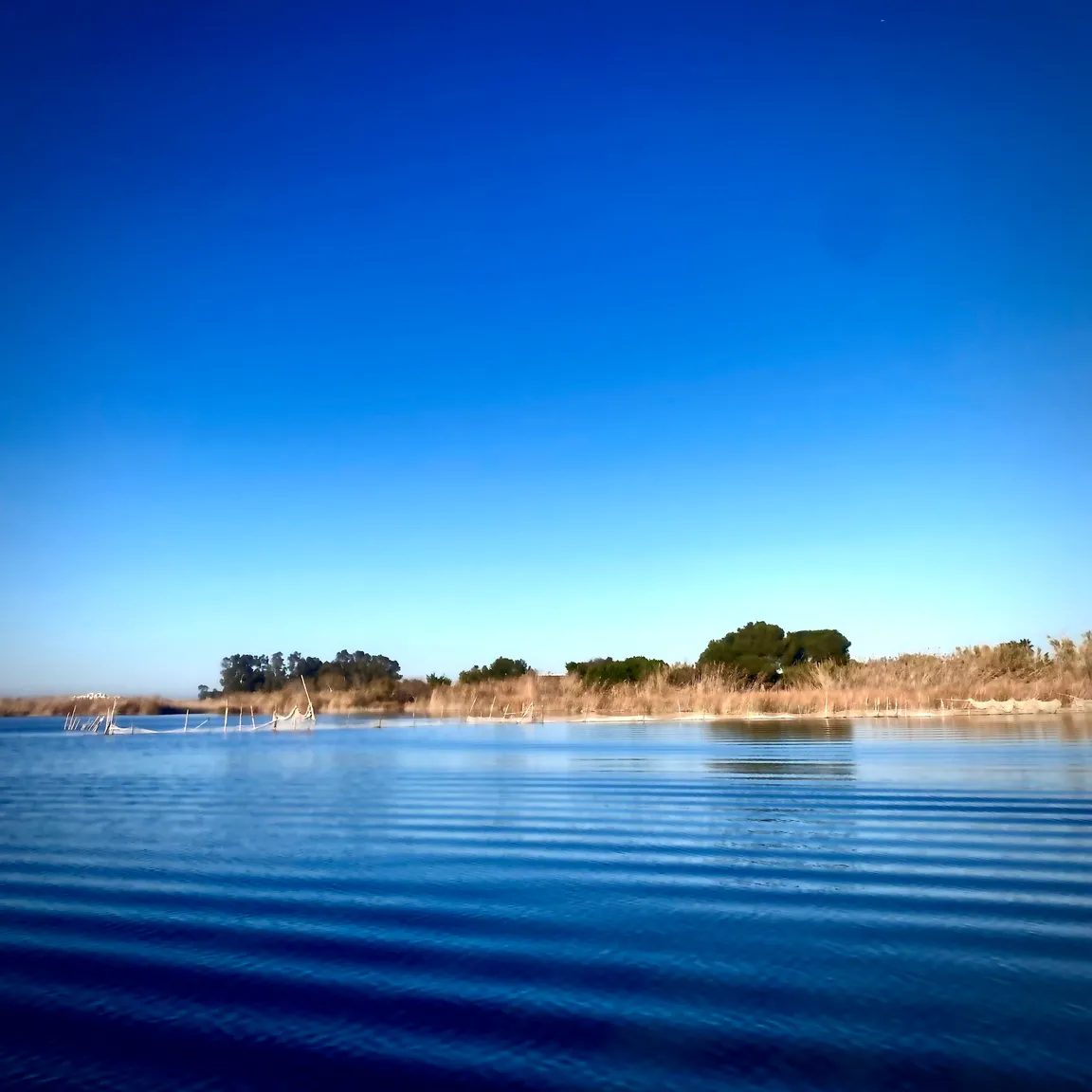 Parc Natural de l'Albufera