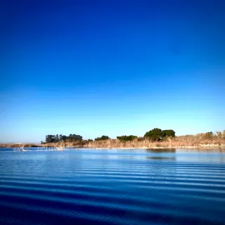 Parc Natural de l'Albufera
