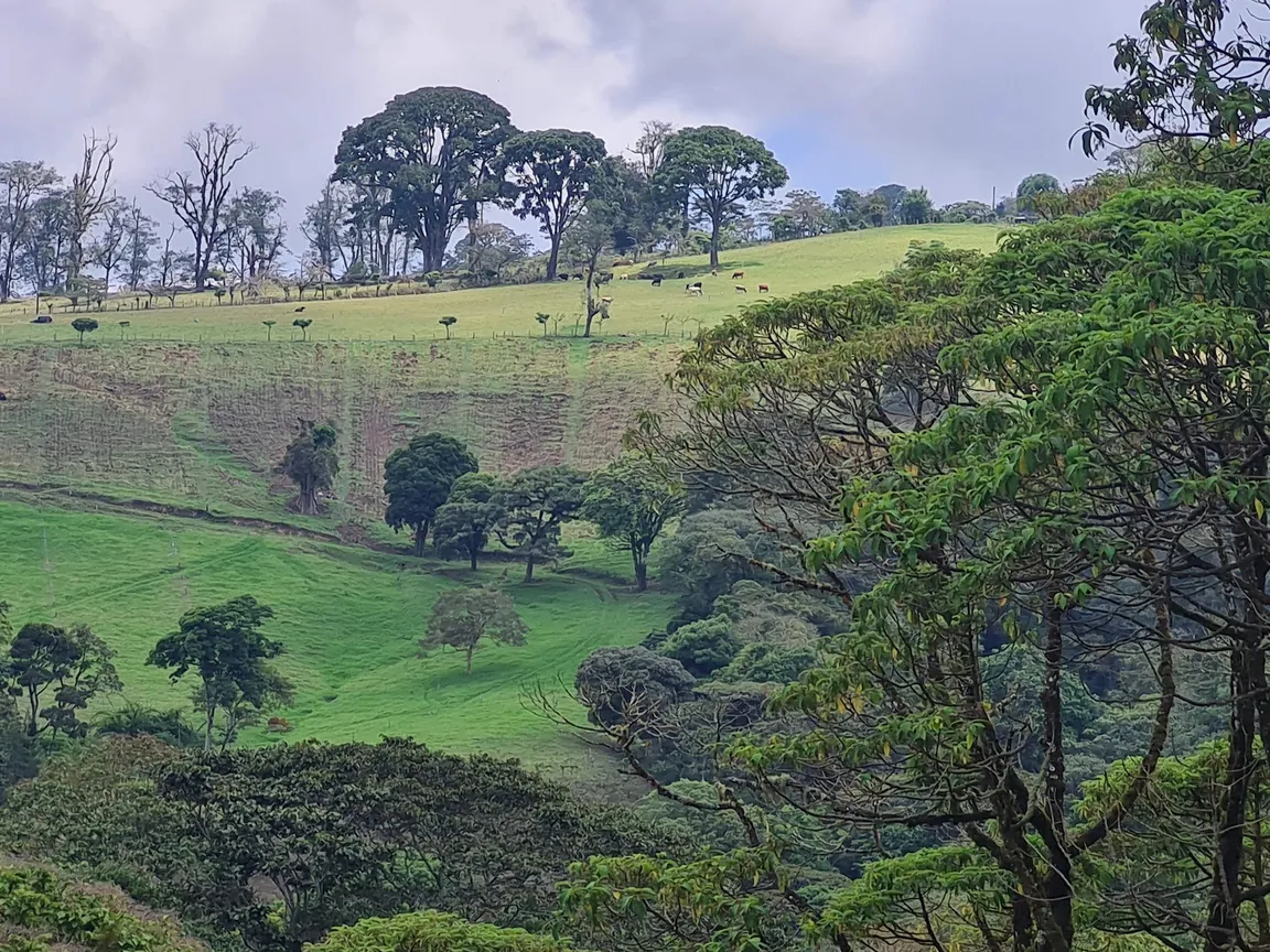 La Angelina - Mountain Bike Park