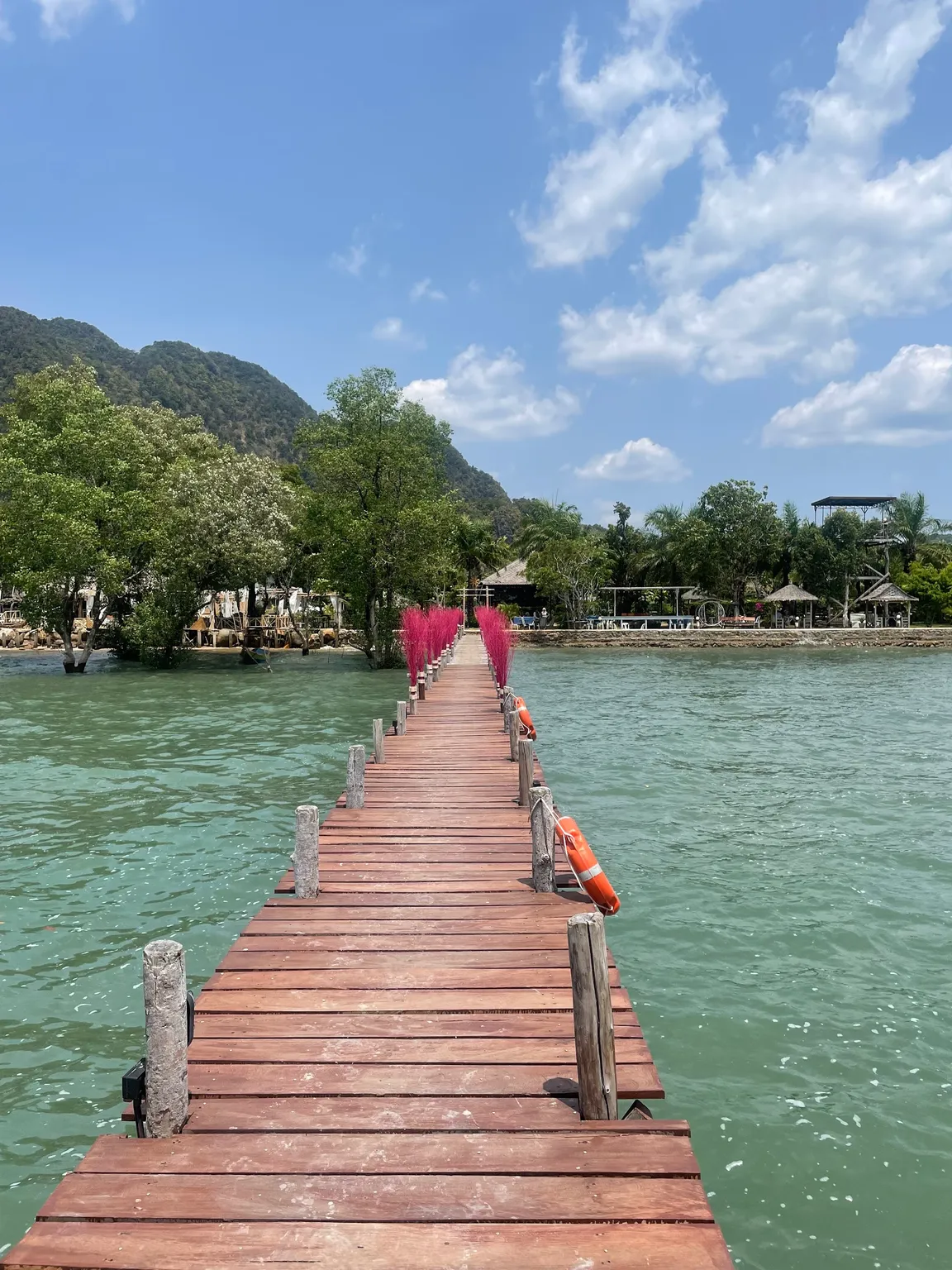 New bamboo bridge