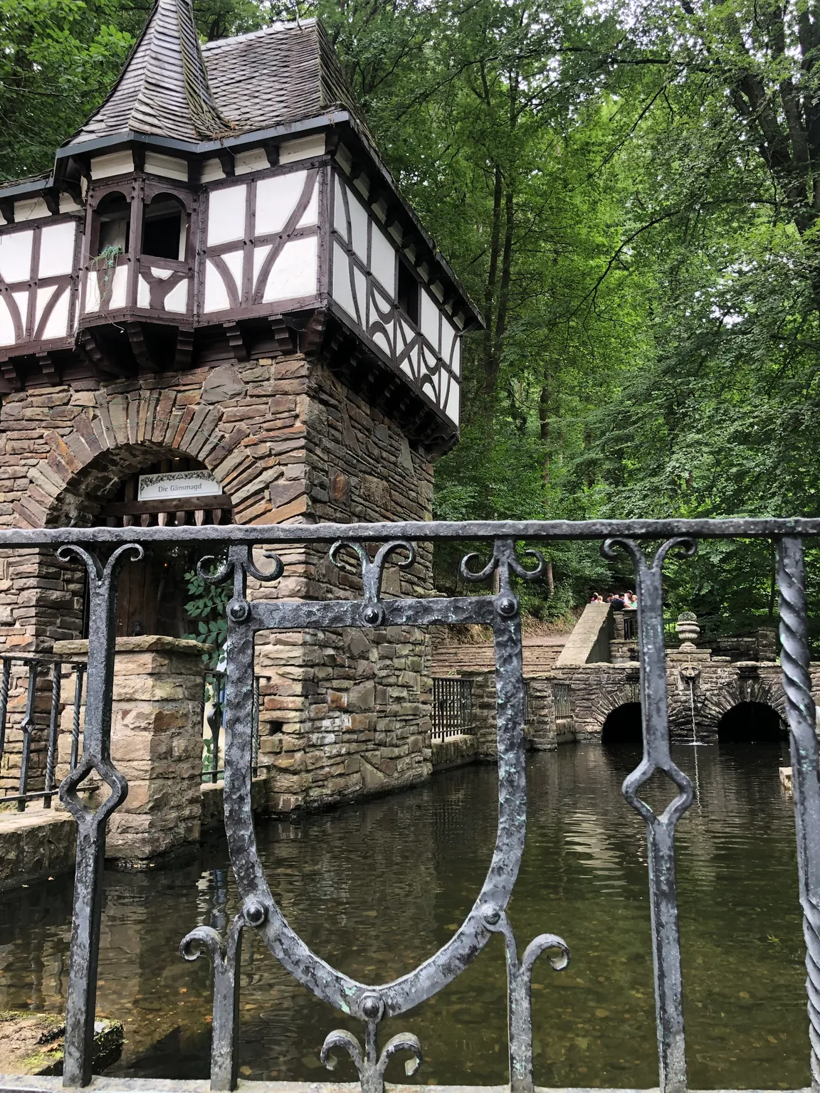 Fairytale forest Altenberg
