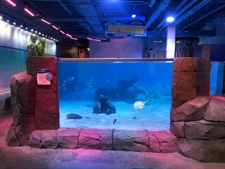 One World Interactive Aquarium