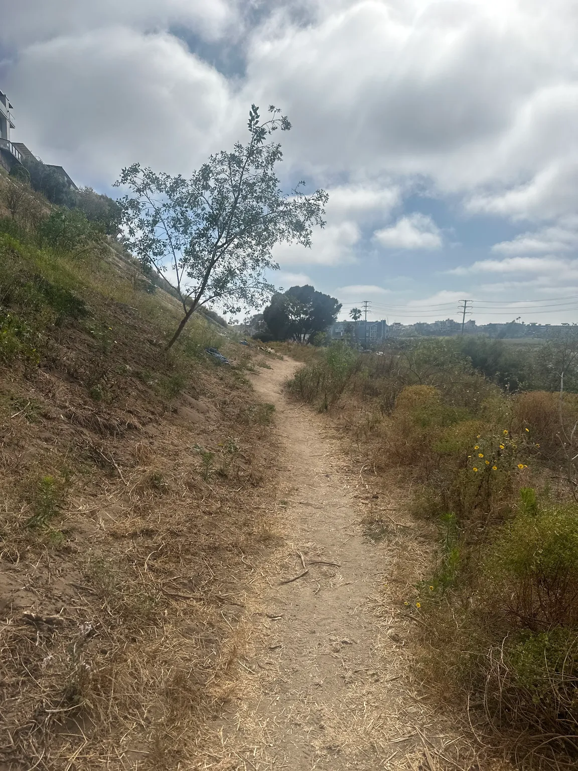 Douglas A. Laux Trail