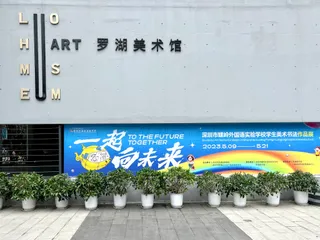 Shenzhen Art Museum