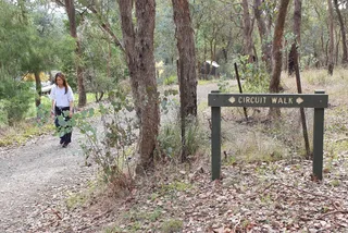 Warrandyte State Park (Parks Victoria)