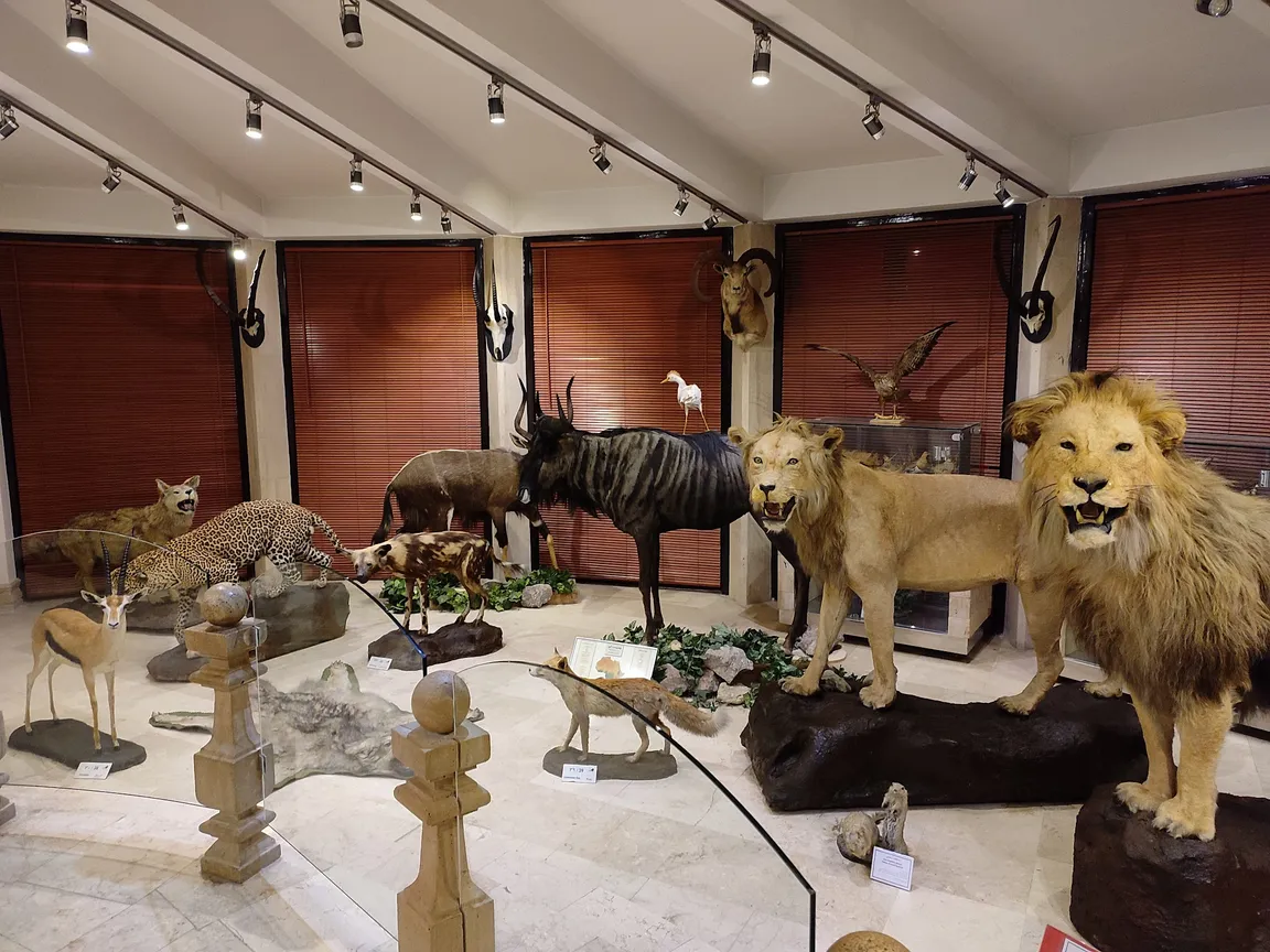 Iran Wildlife and Nature Museum - Dar Abad